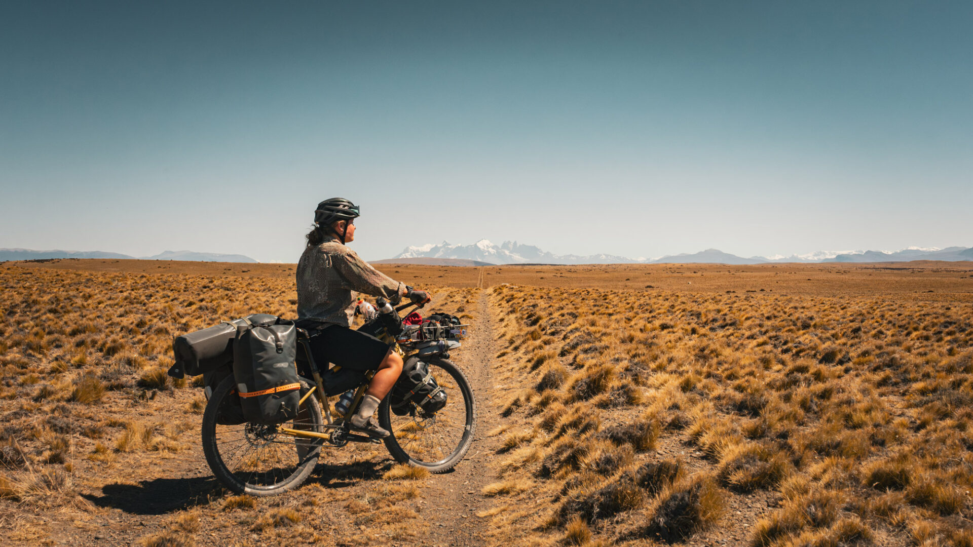 Torres del Paine am Horizont