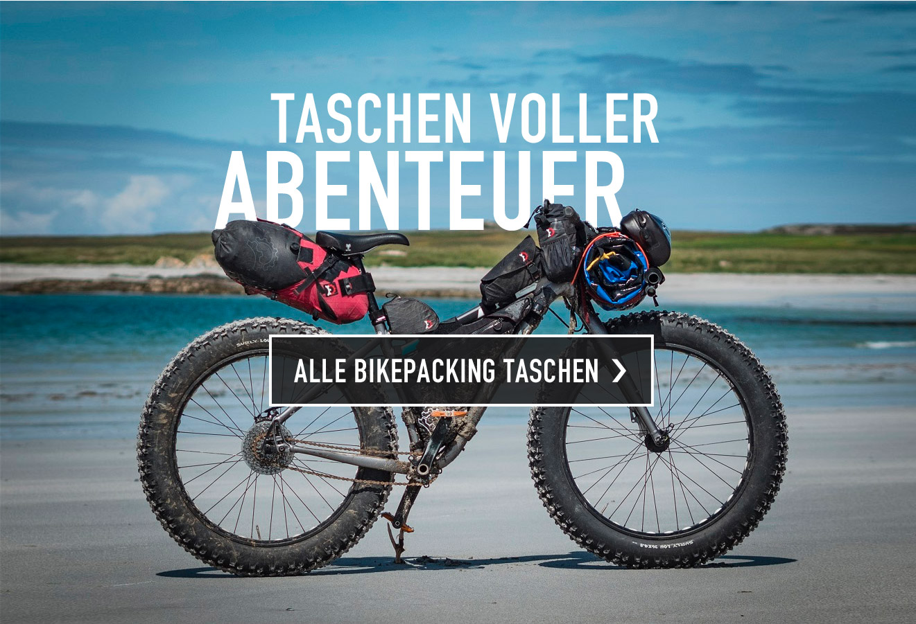 Alle Bikepacking Taschen