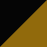 205460100420M